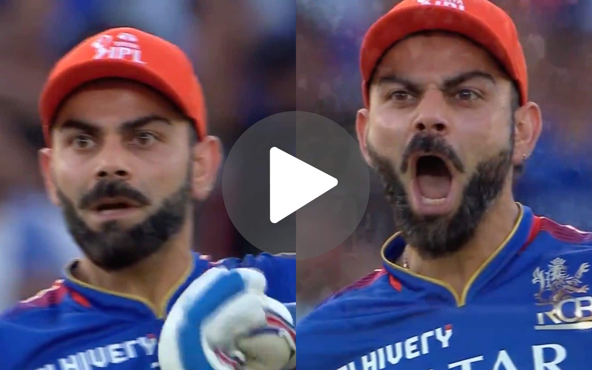 [Watch] Virat Kohli Pumps His Chest; Roars Like A Lion In An Ultra-Aggressive Celebration